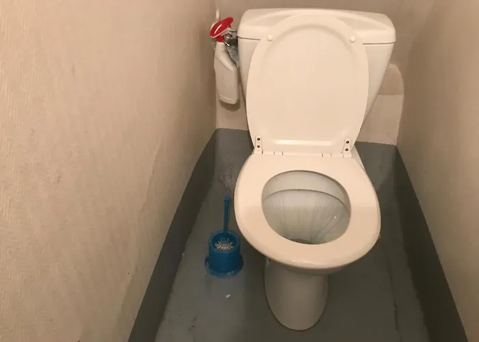 Studette Marais Musee Picasso